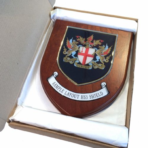 Presentation shield with medium shield shaped centrepiece and scroll.